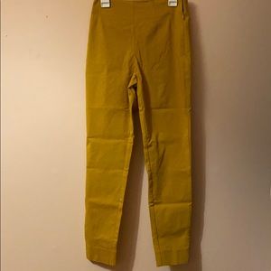 Mustard Slacks
